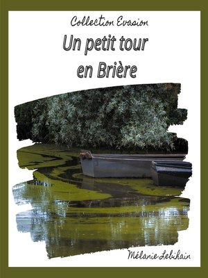 cover image of Un petit tour en brière